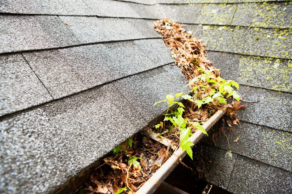 Gutter Cleaning