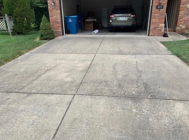 Driveway/Walkway Cleaning