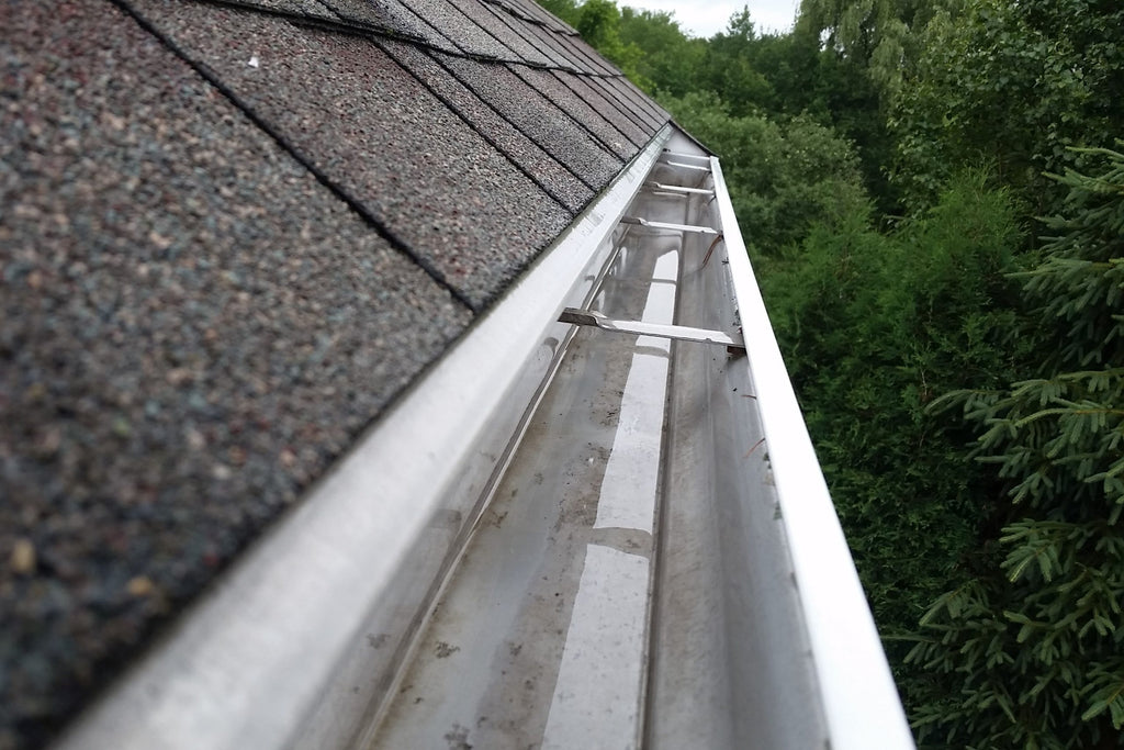 Gutter Cleaning